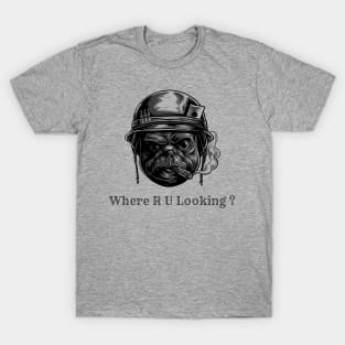 Where are you looking T-Shirt